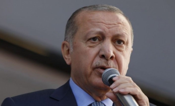 Erdoğan: Eleştiri yaparsın ama hakarete hakkın yok