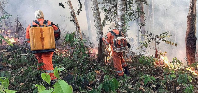 Brezilya'nın Amazonlar'daki yangınla mücadele için kaynağı yok