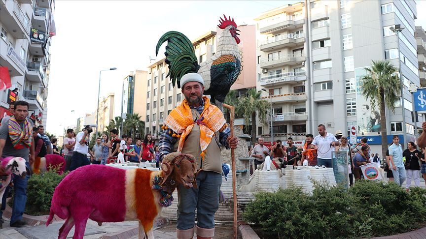 Boyalı koyunlarla kortej yürüyüşü