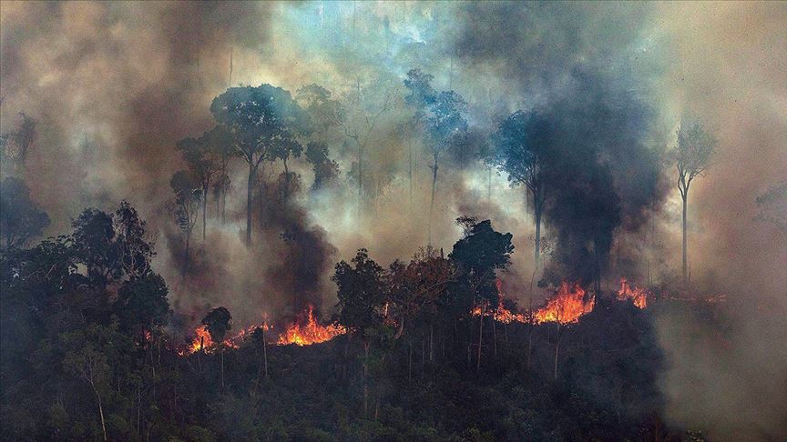 G7’den Amazon yangınları için 20 milyon avro