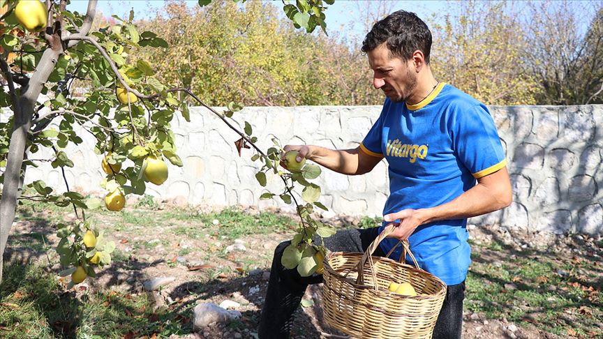 Avrupayı bırakıp köye yerleşti