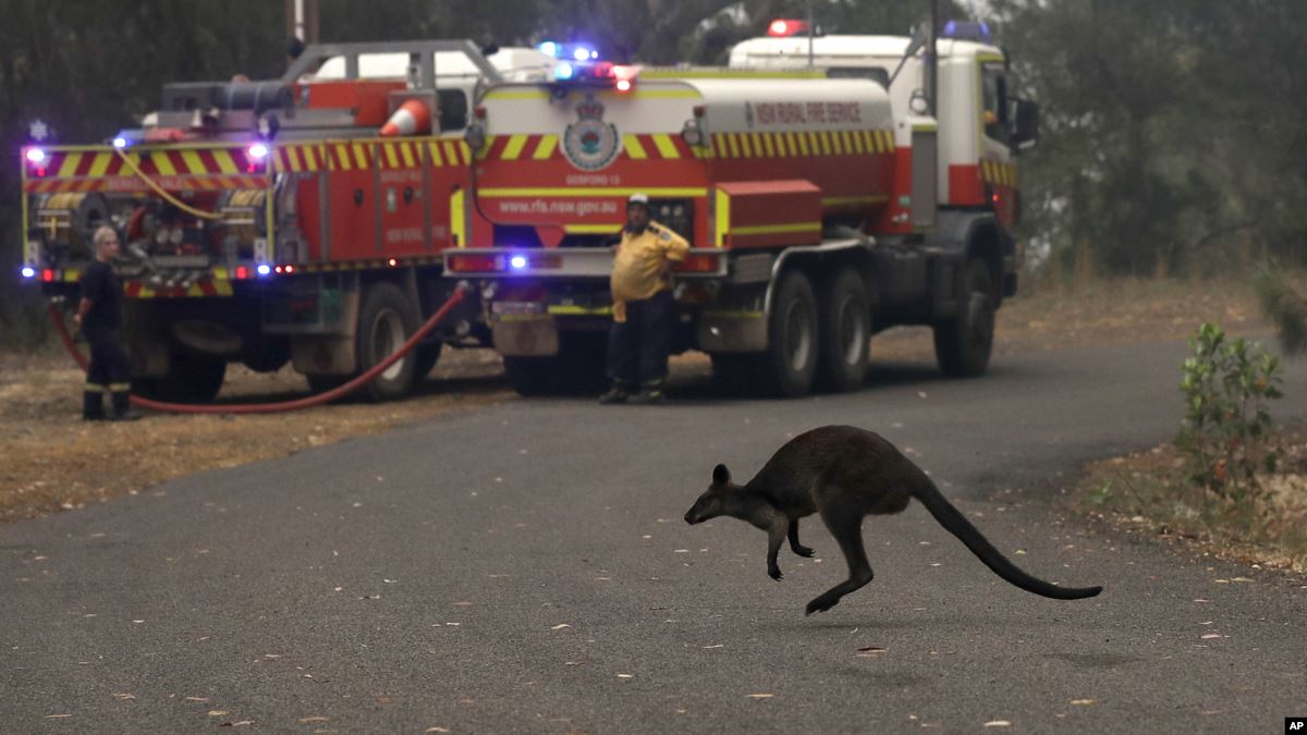 Avustralya’da Yangınlar Kontrol Altına Alınamıyor