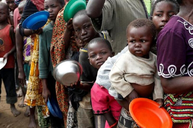 BM: Güney Afrika'da 45 milyon insan açlıkla karşı karşıya