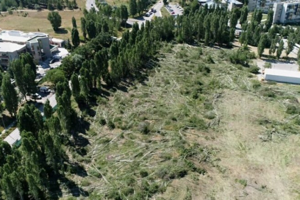 Mahkeme ODTÜ’de KYK yurdu inşaatının yürütmesini durdurdu