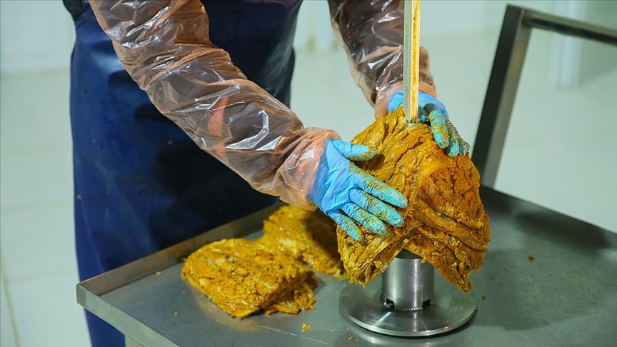 Avrupa'ya balık döner ihraç edilecek
