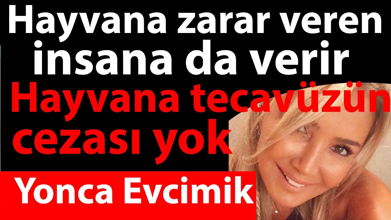 Hayvana tecavüzün cezası yok