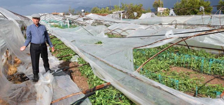 Doğal afetler Antalya çiftçisini perişan etti