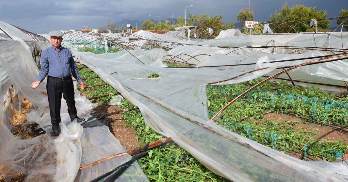 Doğal afetler Antalya çiftçisini perişan etti