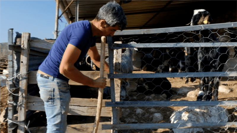 “Bir Aileyi Bir Yıl Geçindirebilecek Proje” 