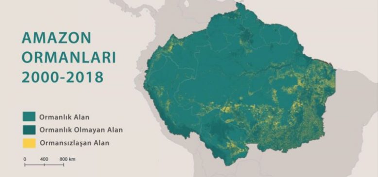 Amazonlar'daki Yıllık Orman Kaybı 5 İstanbul Büyüklüğünde