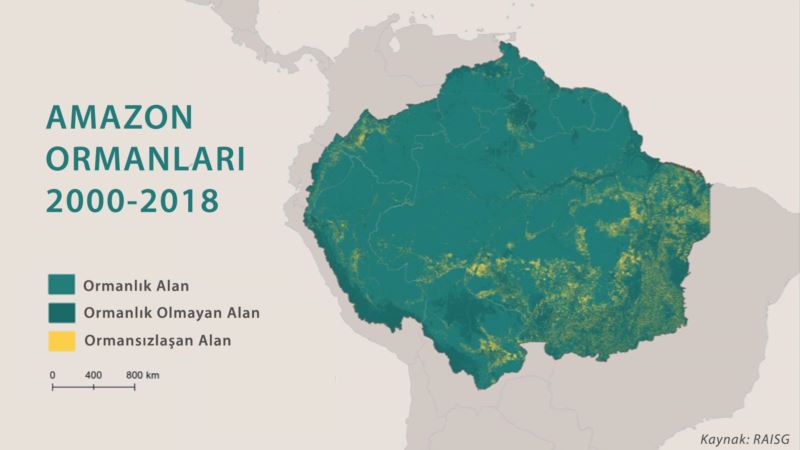 Amazonlar’daki Yıllık Orman Kaybı 5 İstanbul Büyüklüğünde