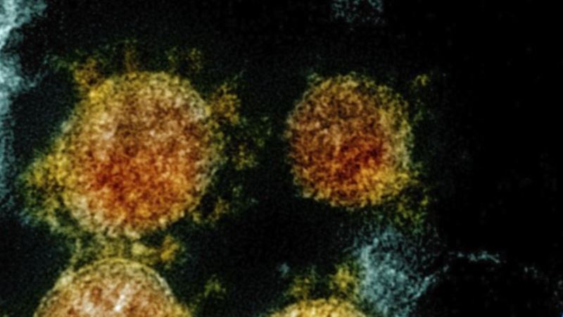 Mutasyona Uğrayan Corona Virüs ABD’de de Görüldü