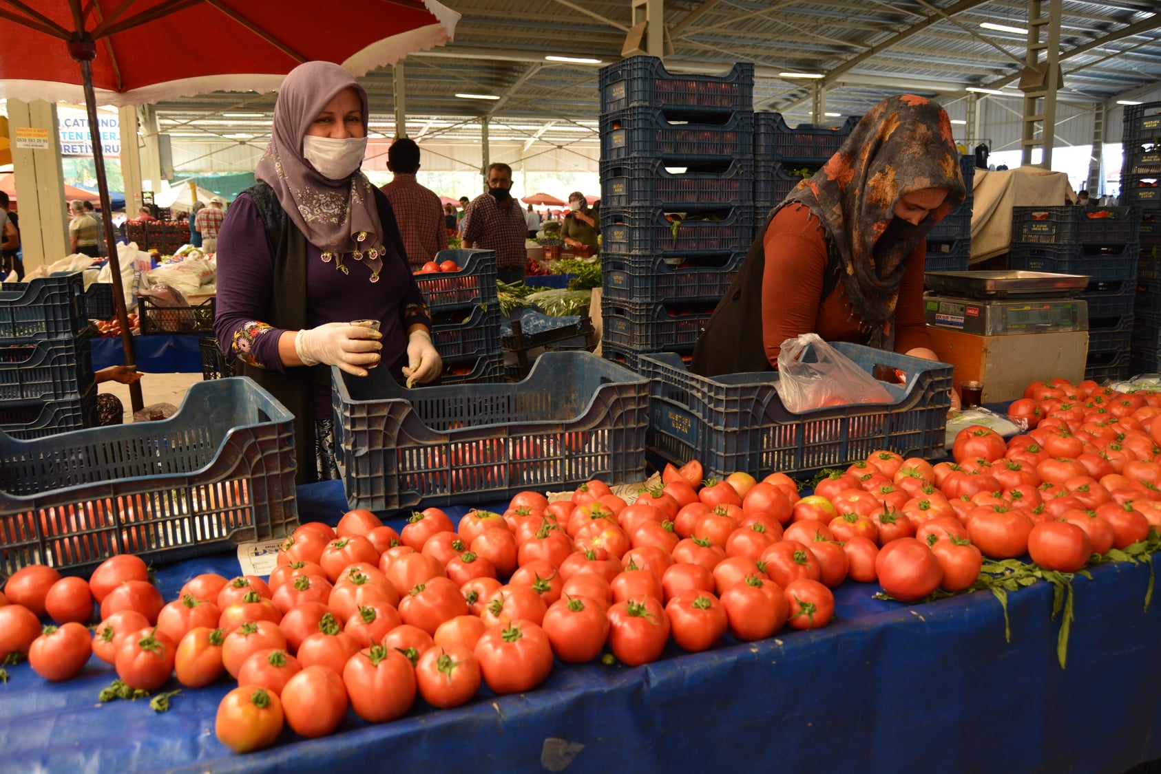 Domates fiyatları yıllık yüzde 74,85 arttı