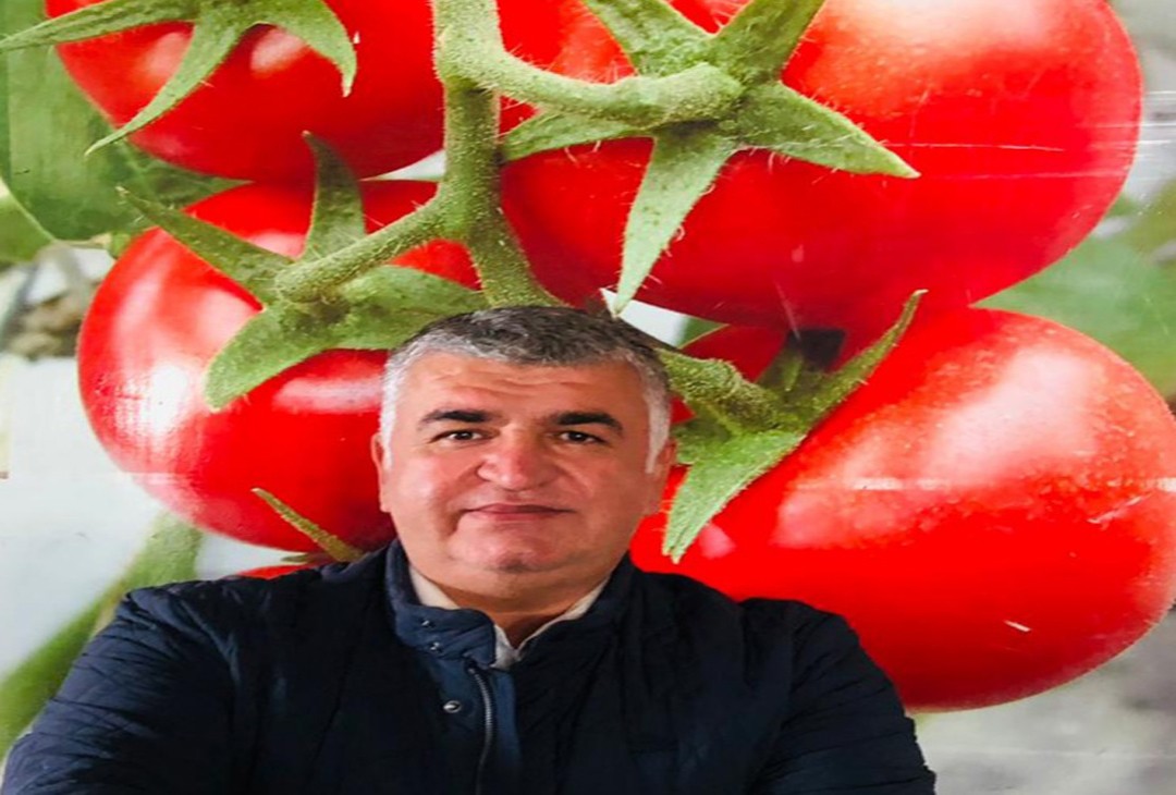 Domates kotası doldu Rusya’ya ihracatı durdu