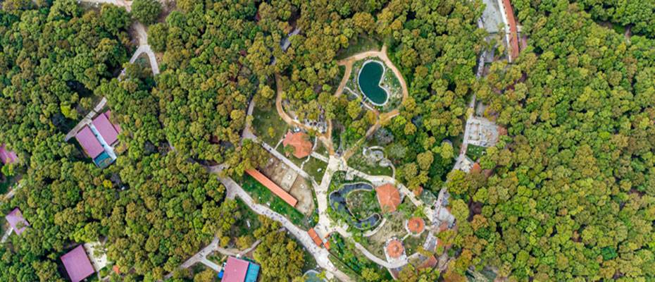 Avrupa’nın en büyük doğal yaşam parkı 5 milyon ziyaretçiyi ağırladı