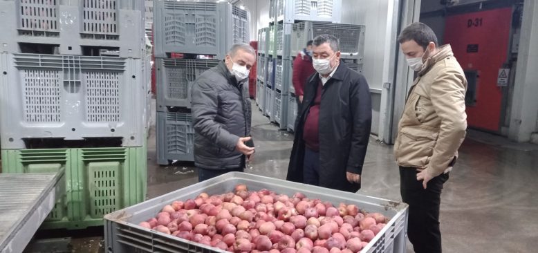 Türkiye’de üretilen her 5 elmadan 1’i Eğirdir’den