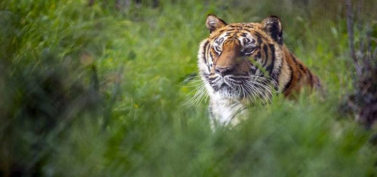 Antalya Hayvanat Bahçesi turizm sezonuna hazır