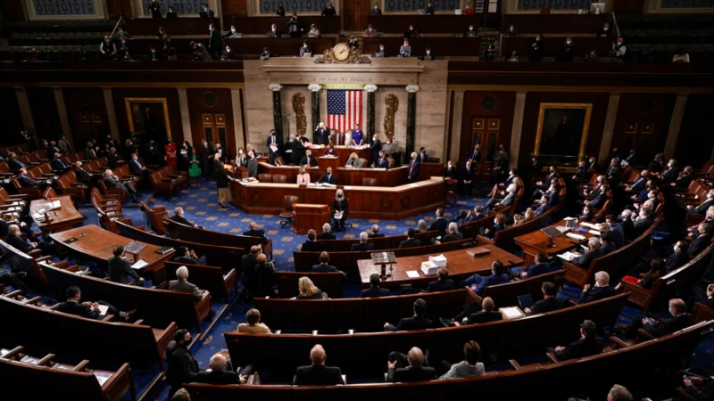 Senato: ‘‘Azil Yargılaması Anayasaya Uygun’’