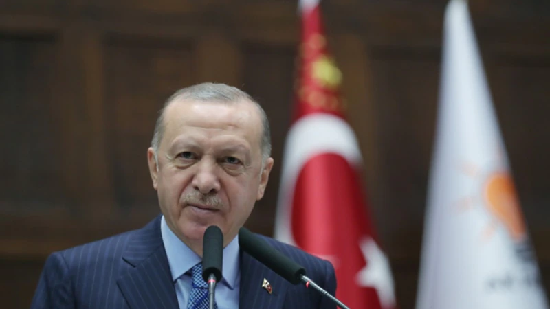 Erdoğan Yeni İnsan Hakları Planını Açıklıyor