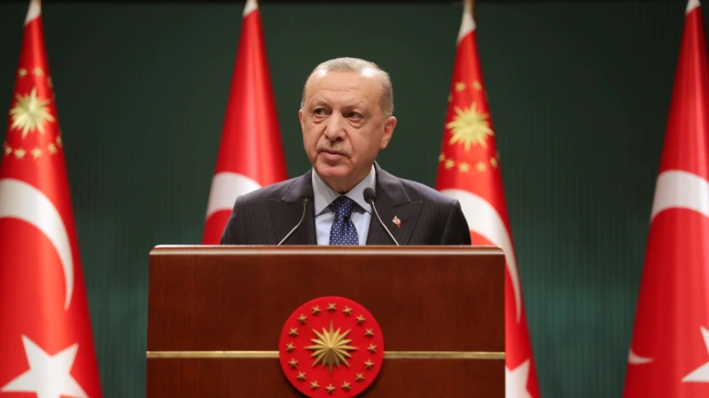 Erdoğan Yeni İnsan Hakları Planını Açıkladı