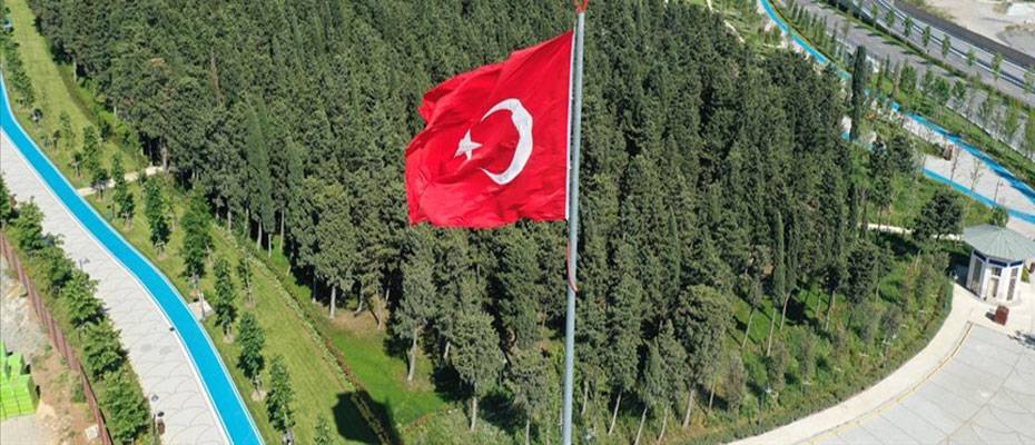 Eğitim, iş, tedavi ve turistik amaçlı Türkiye'yi tercih eden Çadlı sayısı giderek artıyor