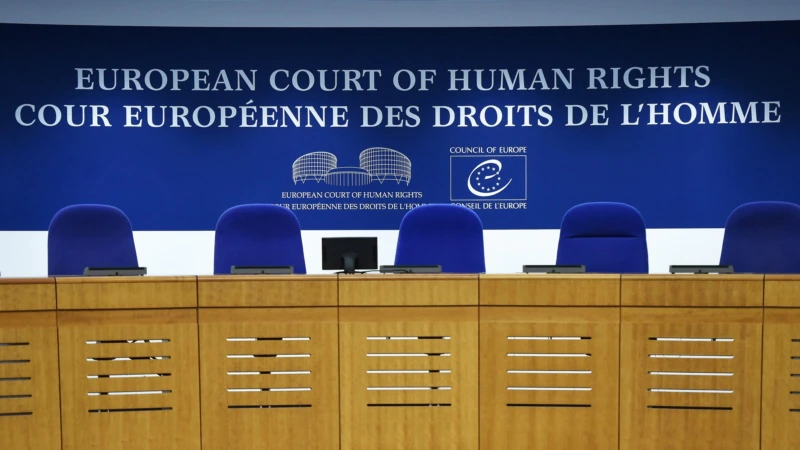 AİHM'den RedHack ile Deniz Naki ve Sedat Doğan Kararı