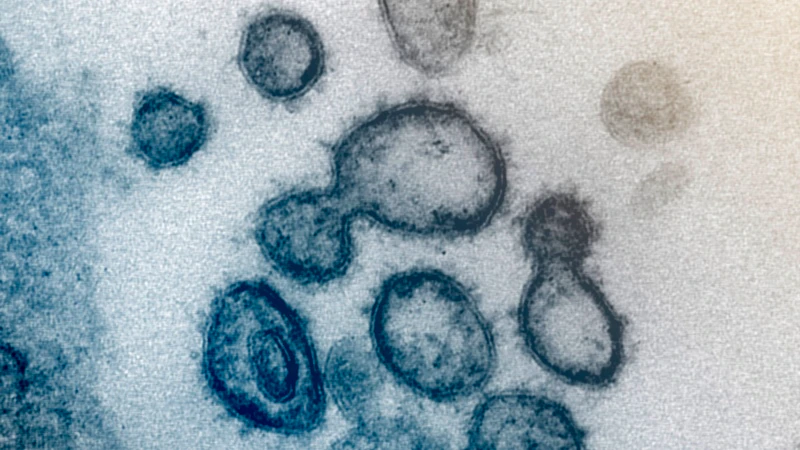 “Corona Virüsünün Delta Varyantı %40 Daha Bulaşıcı”