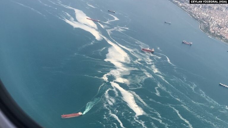 Kanal İstanbul İnşaatı Marmara Denizi’ndeki Müsilajı Nasıl Etkiler?