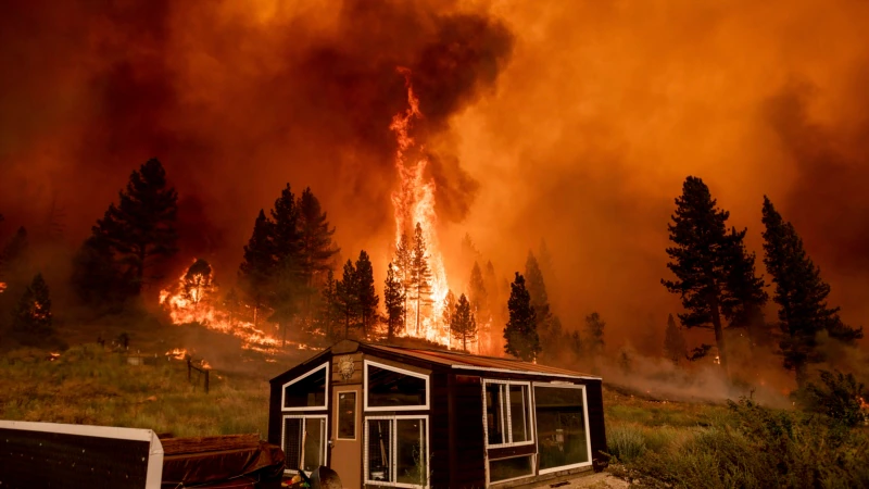 ABD’nin Batısında Yangınlarla Mücadele Sürüyor