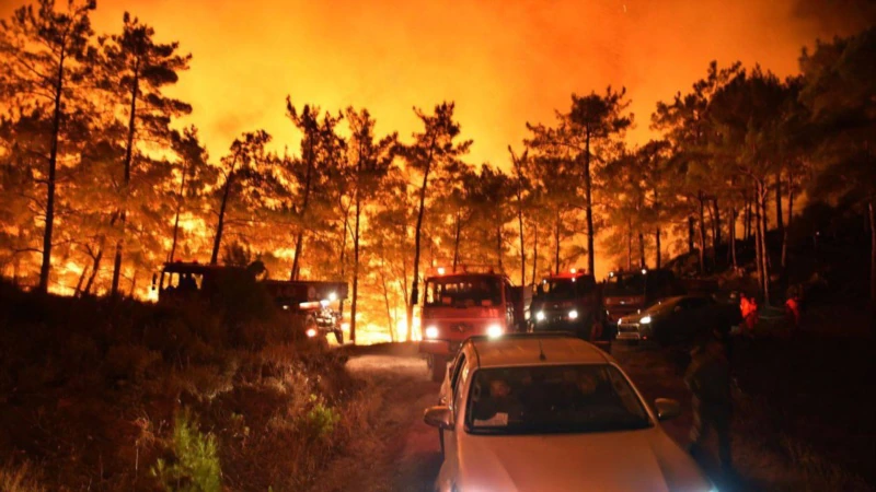 Mersin ve Hatay’daki Orman Yangınları Kontrol Altında