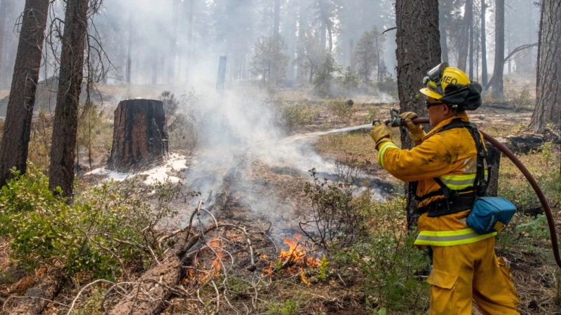 Orman Yangınları Etkisini Arttırıyor