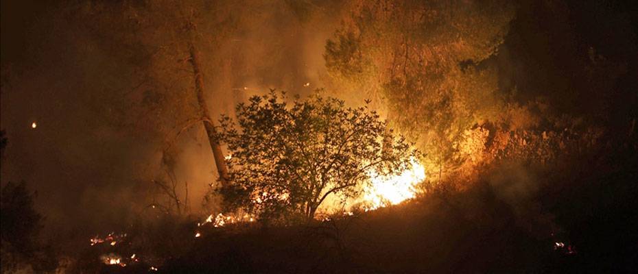 Fransa’nın Var bölgesindeki orman yangınında bir kişi yaşamını yitirdi