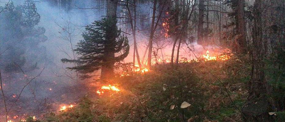 Fransa’nın güneyindeki orman yangını nedeniyle binlerce kişi tahliye edildi
