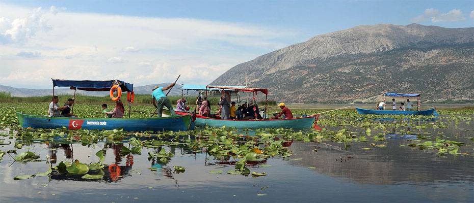 Işıklı Gölü birçok kuş ve ender balık türüne ev sahipliği yapıyor