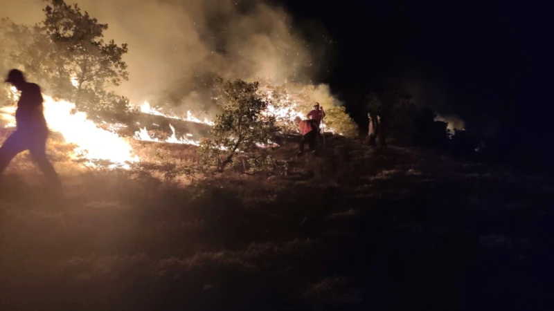 Tunceli ve Bingöl’de Yeni Orman Yangınları