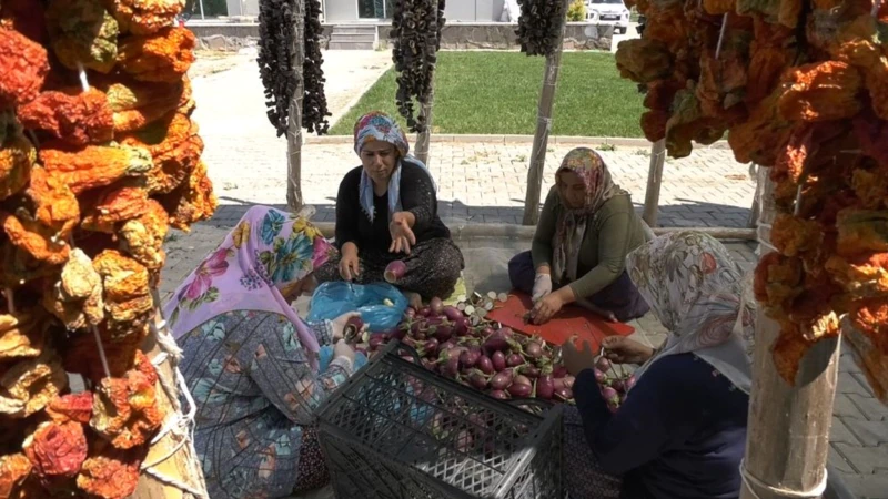 Türk ve Suriyeli Kadınlar Tarımla Avrupa’ya Ulaşıyor