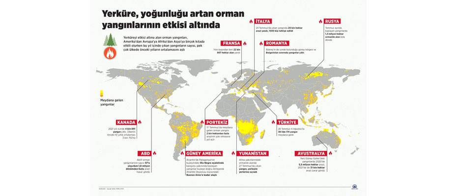 Yerküre yoğunluğu artan orman yangınlarının etkisi altında