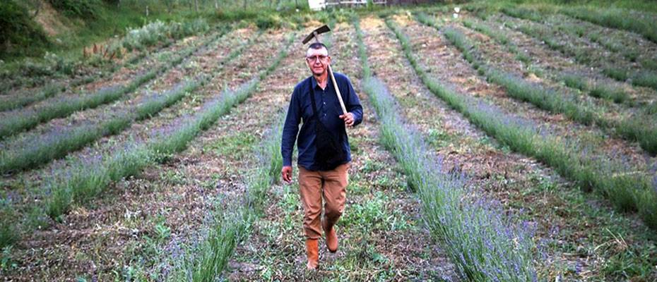 Doçentin lavanta merakı bir kente örnek oldu