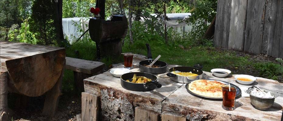 Doğasıyla hayran bırakan Çambaşı Yaylası turistlerin gözdesi oldu