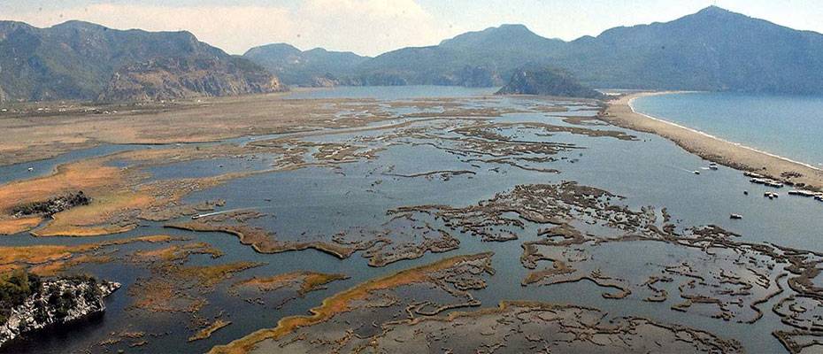 Labirent görünümlü Dalyan sazlıkları misafirlerini ağırlamaya devam ediyor