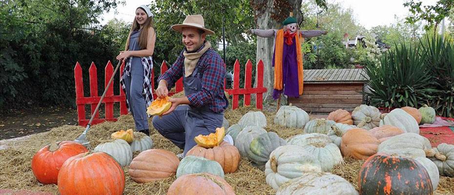 Edirne Karaağaç Festivali’ne son günde de katılımcı sayısı fazla oldu