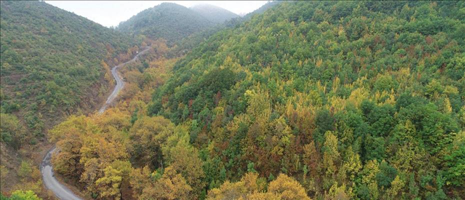 Ganos Dağı eteklerindeki ormanlar sonbahar renklerine büründü