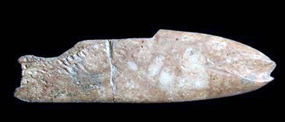 İzmir’de 8 bin yıl öncesine ait balık figürlü alet bulundu