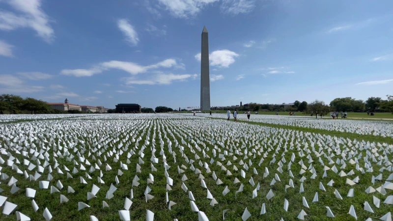 Washington’da Beyaz Bayraklar