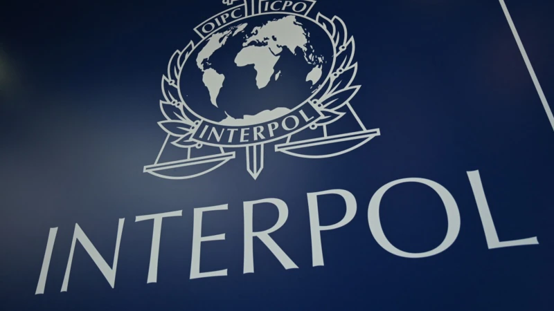 Interpol’e Tartışmalı Başkan