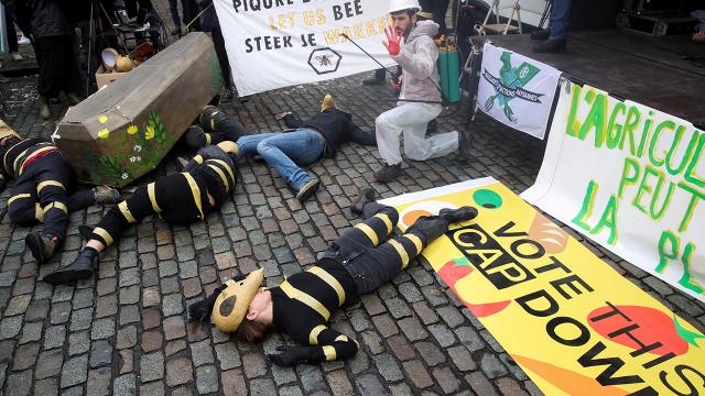 Brüksel’de çiftçiler AB reformunu protesto etti
