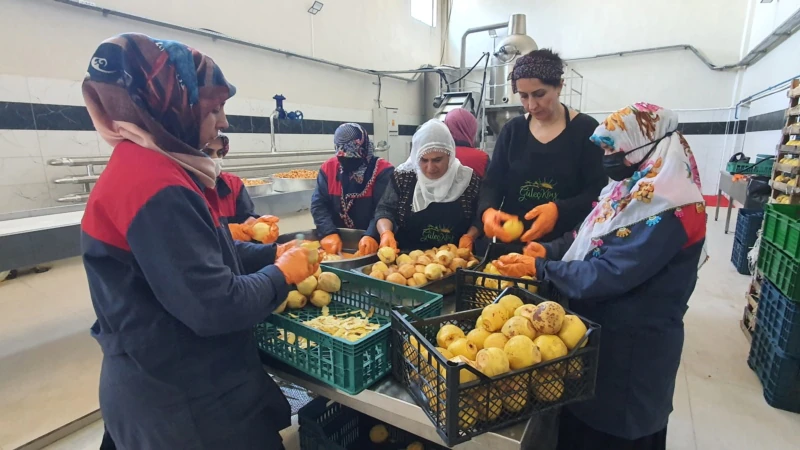 Diyarbakırlı Kadınlar Kendi ‘Köy’ünü Kurdu 