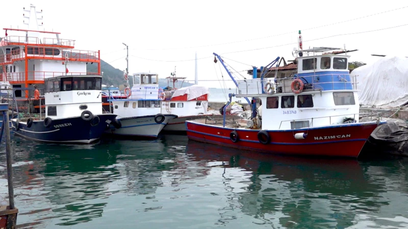 İstanbul’daki Balıkçılarda Mayın Tedirginliği