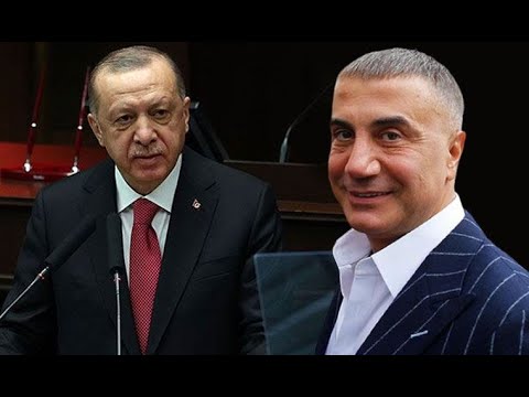 Sedat Peker “Erdoğan ile helalleşme videosu” dediği anda susturulma hamlesi geldi