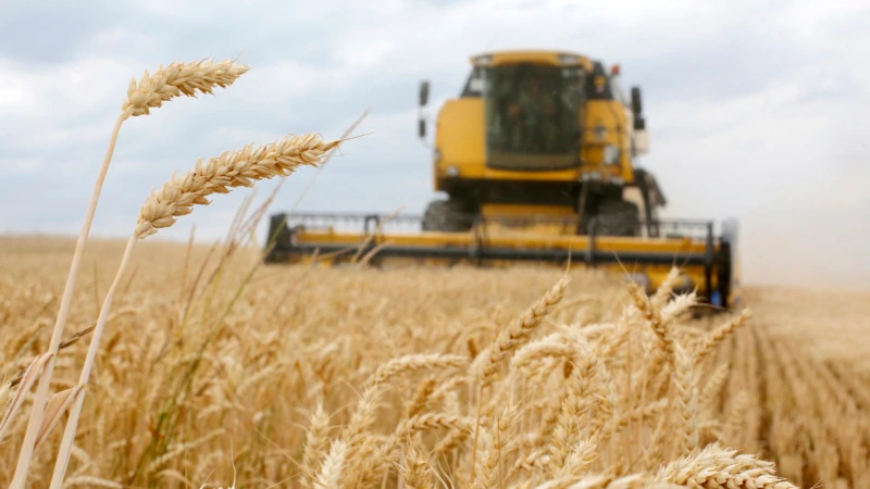 Türkiye Buğday Açığını Venezuela’yla Kapatabilir mi?